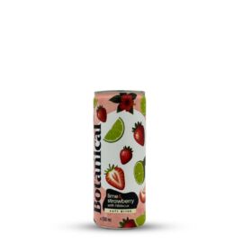 Coldbrew Botanical Lime & Strawberry | Horizont (HU) | 0,25L