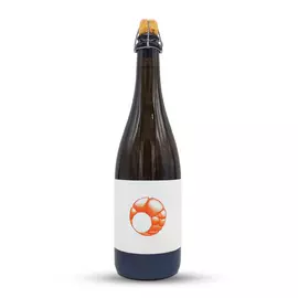 ABRICOT ASSEMBLAGE 1 (2022) | Popihn Sauvages (FRA) | 0,75L - 6,8%