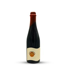 do we belong to ANOTHER dream? | Everywhere (USA) | 0,5L - 12,2%