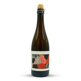BLANC ROUGE NOIR (2025) | Popihn Sauvages (FRA) | 0,75L - 7%
