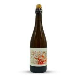 MIRABELLE (2024) | Popihn Sauvages (FRA) | 0,75L - 7%