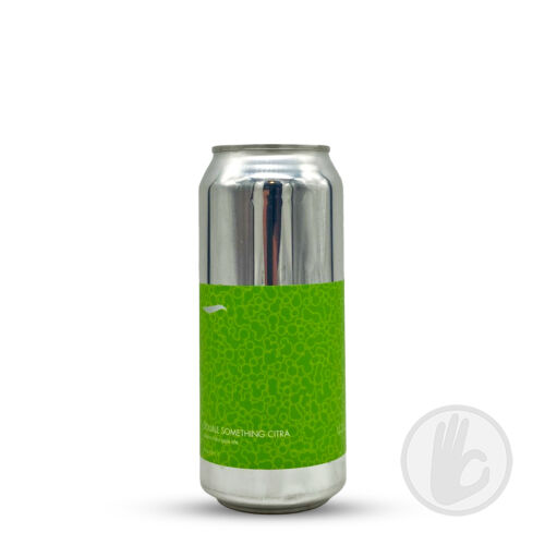 Double Something Citra | Finback (USA) | 0,473L - 8,5%