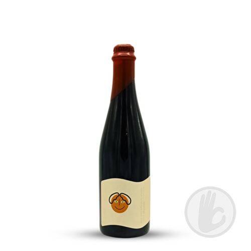 do we belong to ANOTHER dream? | Everywhere (USA) | 0,5L - 12,2%
