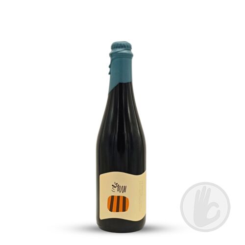 TO BELONG is to be seen | Everywhere (USA) | 0,5L - 14,1%