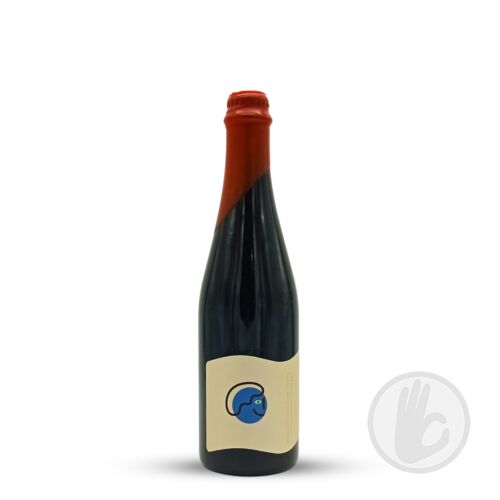 is LIFE what you thought it'd be? | Everywhere (USA) | 0,5L - 12,4%
