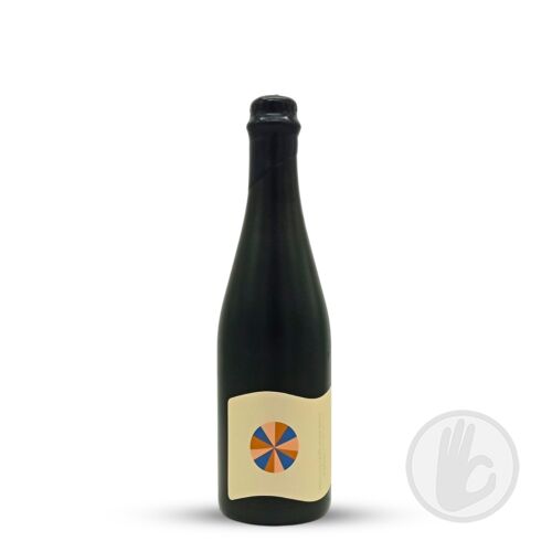 was I ever more than MAYBE? | Everywhere (USA) | 0,5L - 15%