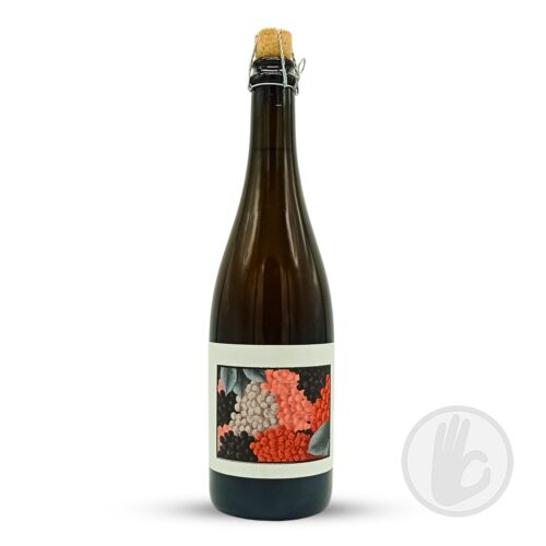 BLANC ROUGE NOIR (2025) | Popihn Sauvages (FRA) | 0,75L - 7%