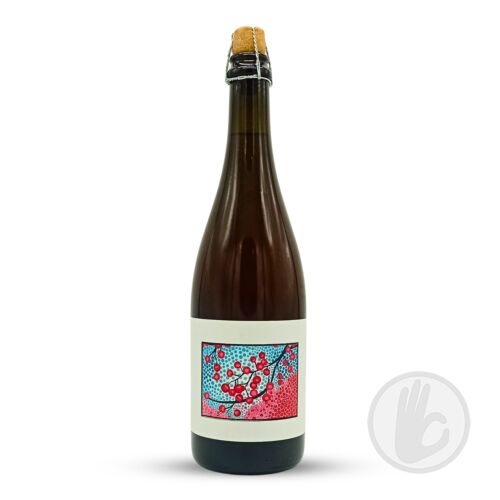 CERISE FRAMBOISE (2023) | Popihn Sauvages (FRA) | 0,75L - 6,8%