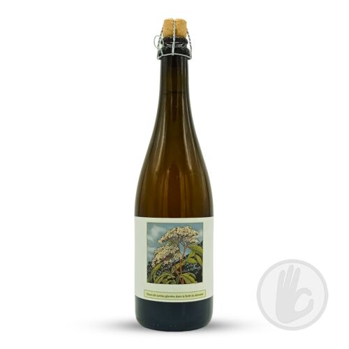FLEUR DE SUREAU (2024) | Popihn Sauvages (FRA) | 0,75L - 6,8%