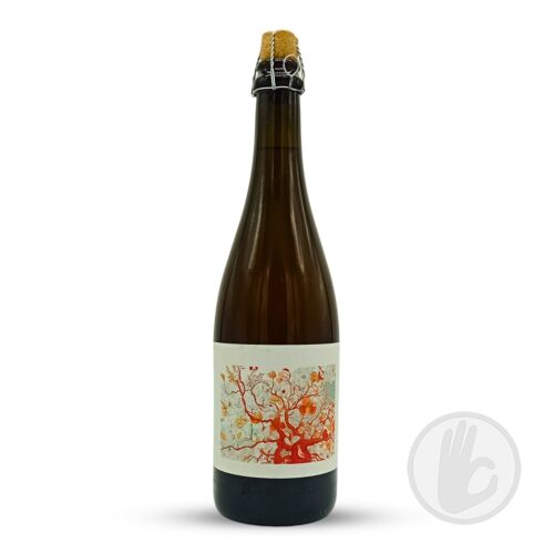 MIRABELLE (2024) | Popihn Sauvages (FRA) | 0,75L - 7%