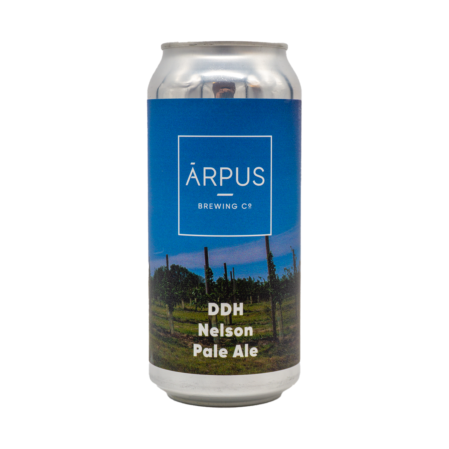 DDH Nelson Pale Ale | Arpus (LVA) | 0,44L - 5,5%